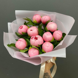 11 лососевых пионов